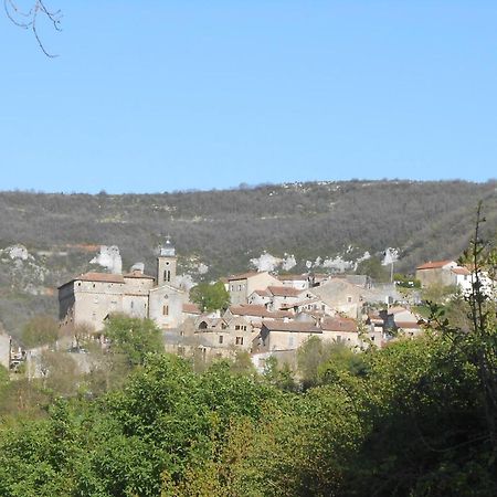 Saint-Georges-de-Luzençon Maison Spacieuse Et Agreable 빌라 외부 사진