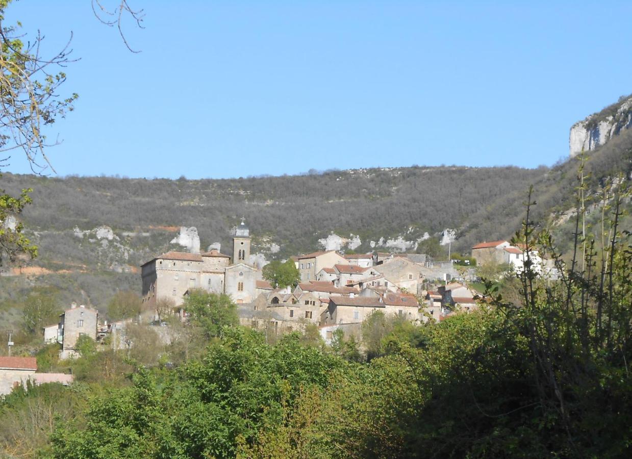Maison Spacieuse Et Agreable Saint-Georges-de-Luzençon 외부 사진