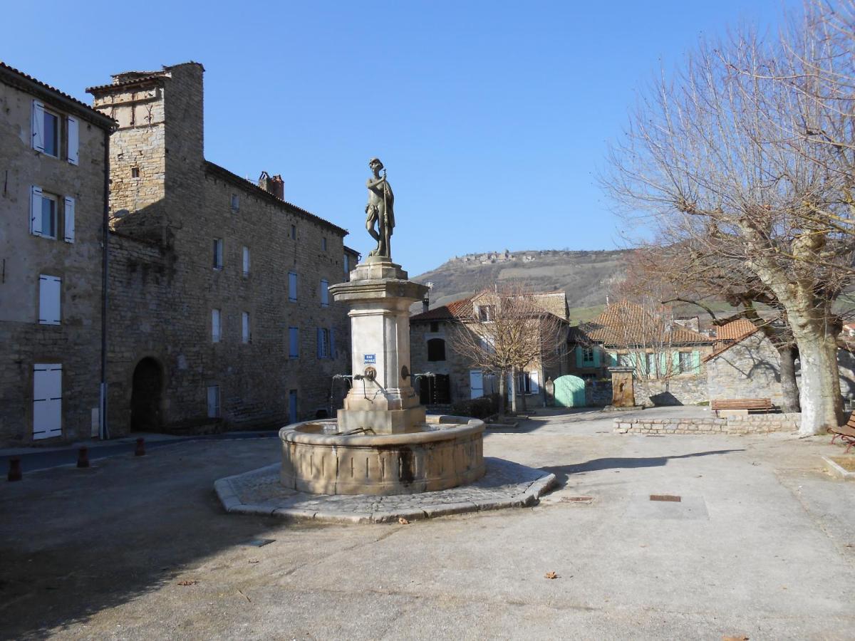 Saint-Georges-de-Luzençon Maison Spacieuse Et Agreable 빌라 외부 사진